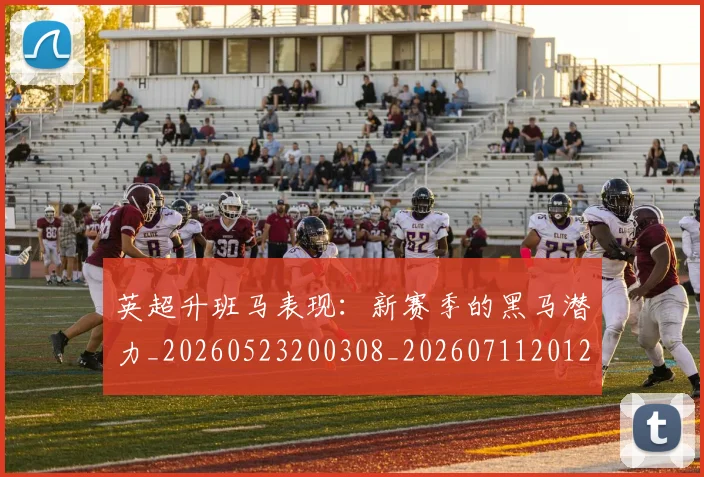 英超升班马表现：新赛季的黑马潜力_20260523200308_20260711201241