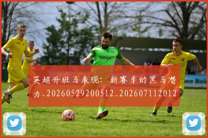 英超升班马表现:新赛季的黑马潜力_20260529200512_20260711201243